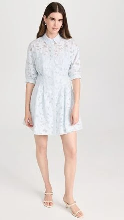 Club Monaco Sculptural Sleeve Dress